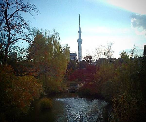 向島百花園  紅葉4.jpg