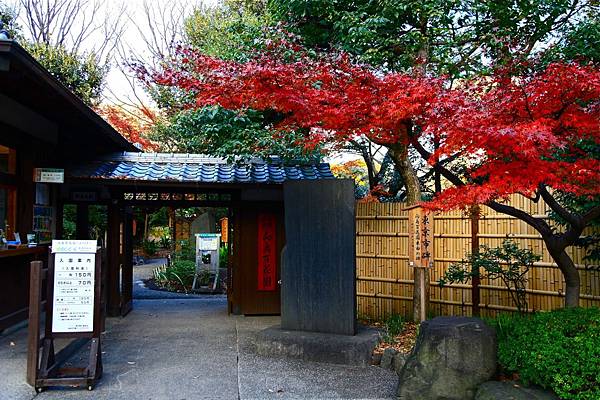 向島百花園 紅葉3.jpg