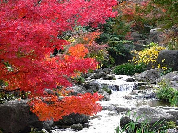 日本關西 北陸地區嚴選賞楓聖地 白鳥庭園紅葉6 Jpg 日華旅遊日本達人的相簿 痞客邦 日本關西 北陸地區嚴選賞楓聖地 白鳥庭園紅葉6 Jpg 日華旅遊日本達人的相簿 痞客邦