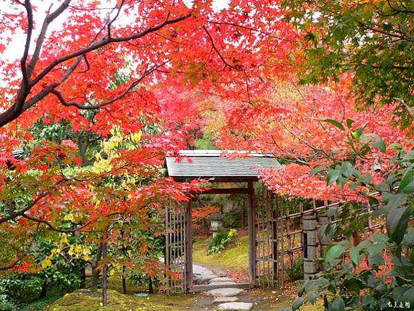 日本關西 北陸地區嚴選賞楓聖地 白鳥庭園紅葉5 Jpg 日華旅遊日本達人的相簿 痞客邦 日本關西 北陸地區嚴選賞楓聖地 白鳥庭園紅葉5 Jpg 日華旅遊日本達人的相簿 痞客邦