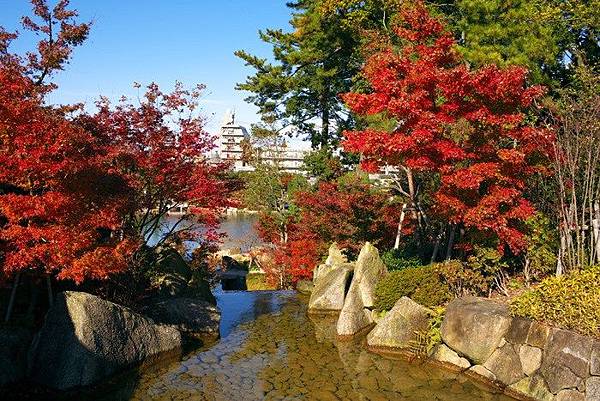 德川園  紅葉1.jpg