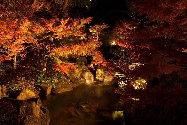 德川園 紅葉2.jpg