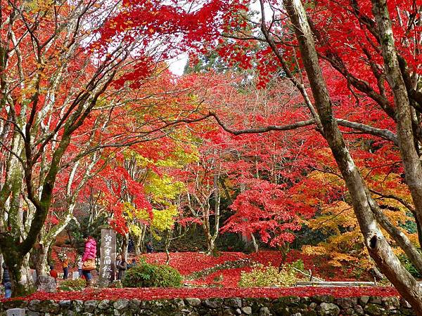 雞足寺 滋賀  紅葉7.jpg