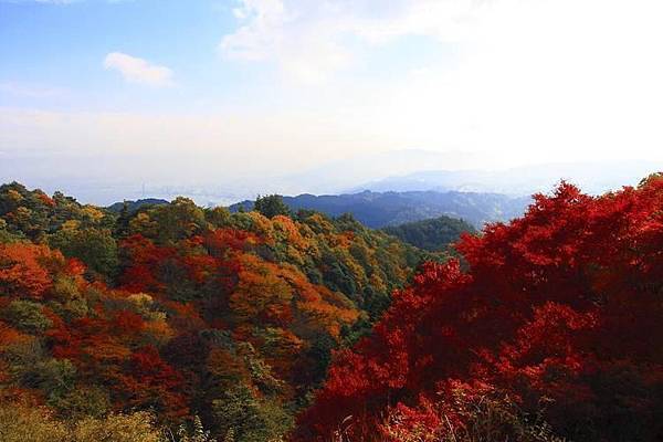 比叡山  紅葉4.jpg