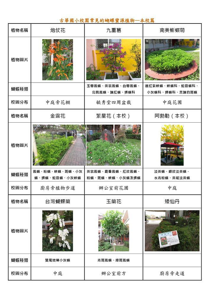 古士校園常見蝴蝶食草及蜜源植物 古華心士文情 痞客邦 古士校園常見蝴蝶食草及蜜源植物 古華心士文情 痞客邦