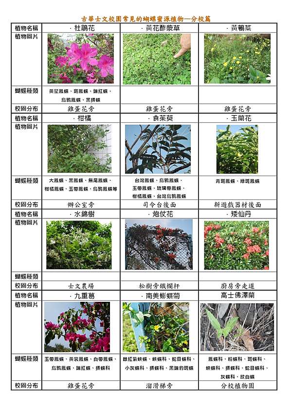 古士校園常見蝴蝶食草及蜜源植物 古華心士文情 痞客邦 古士校園常見蝴蝶食草及蜜源植物 古華心士文情 痞客邦