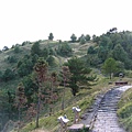 鹿林山高山草原