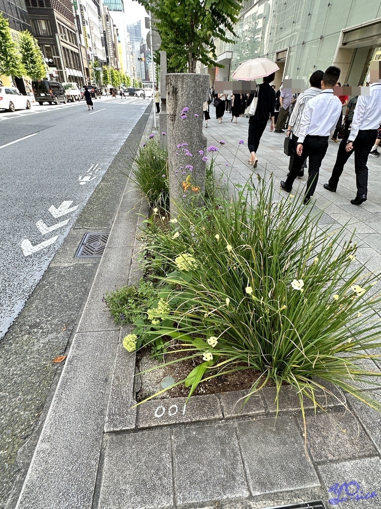 馬先森陪我過生日的東京小旅行