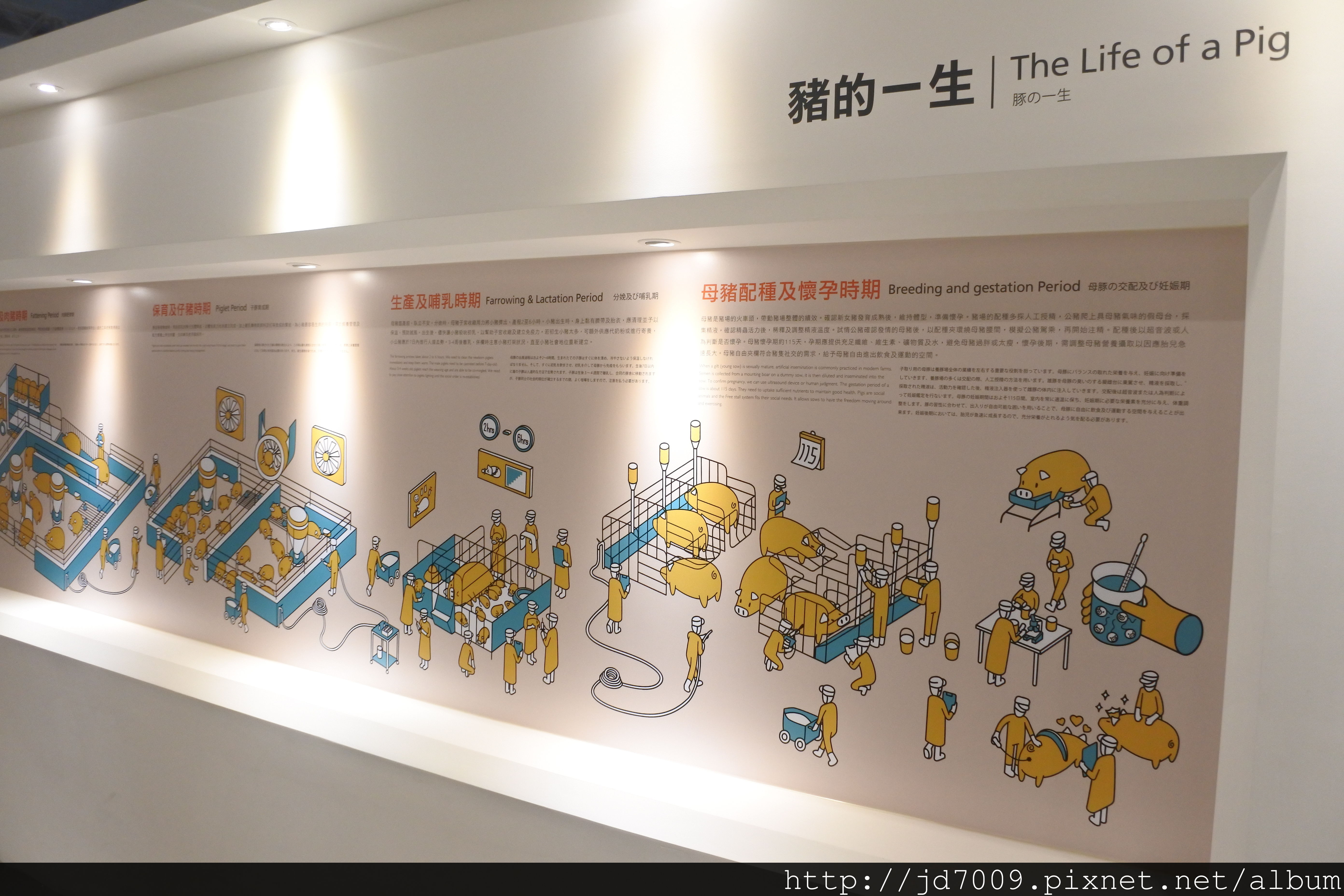 DSC_2980.JPG DSC_2980.JPG