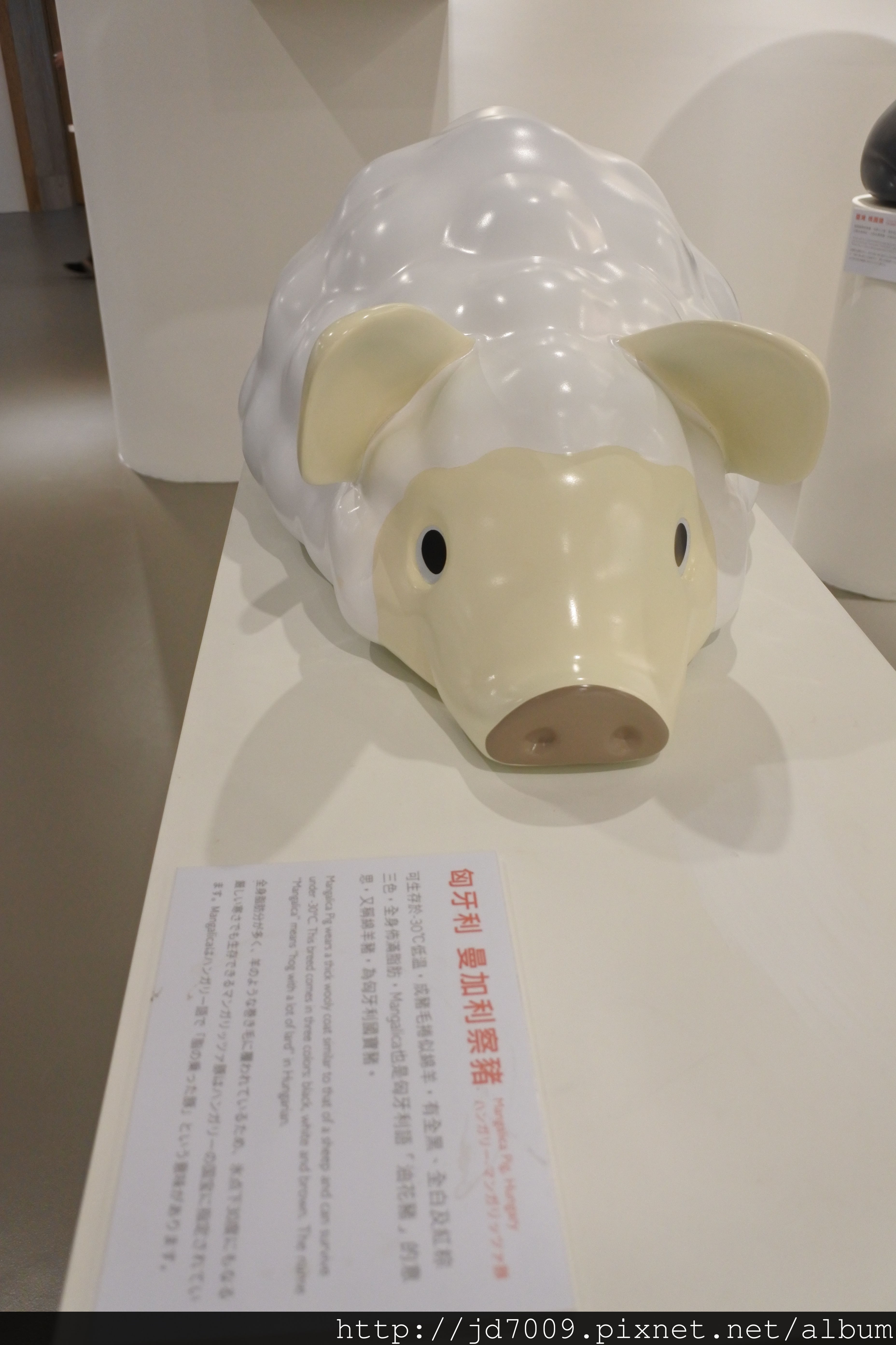 DSC_2981.JPG DSC_2981.JPG