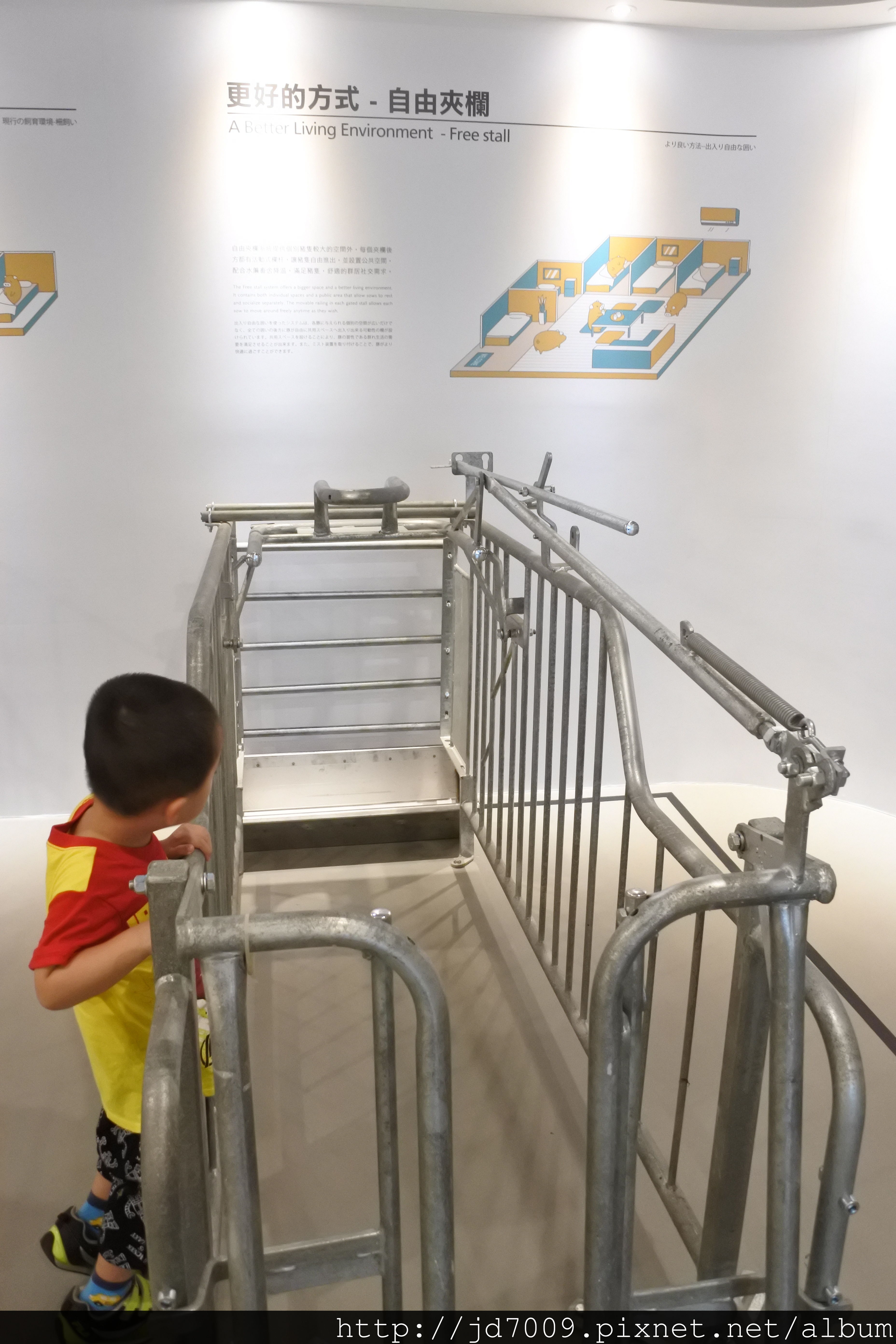 DSC_2983.JPG DSC_2983.JPG