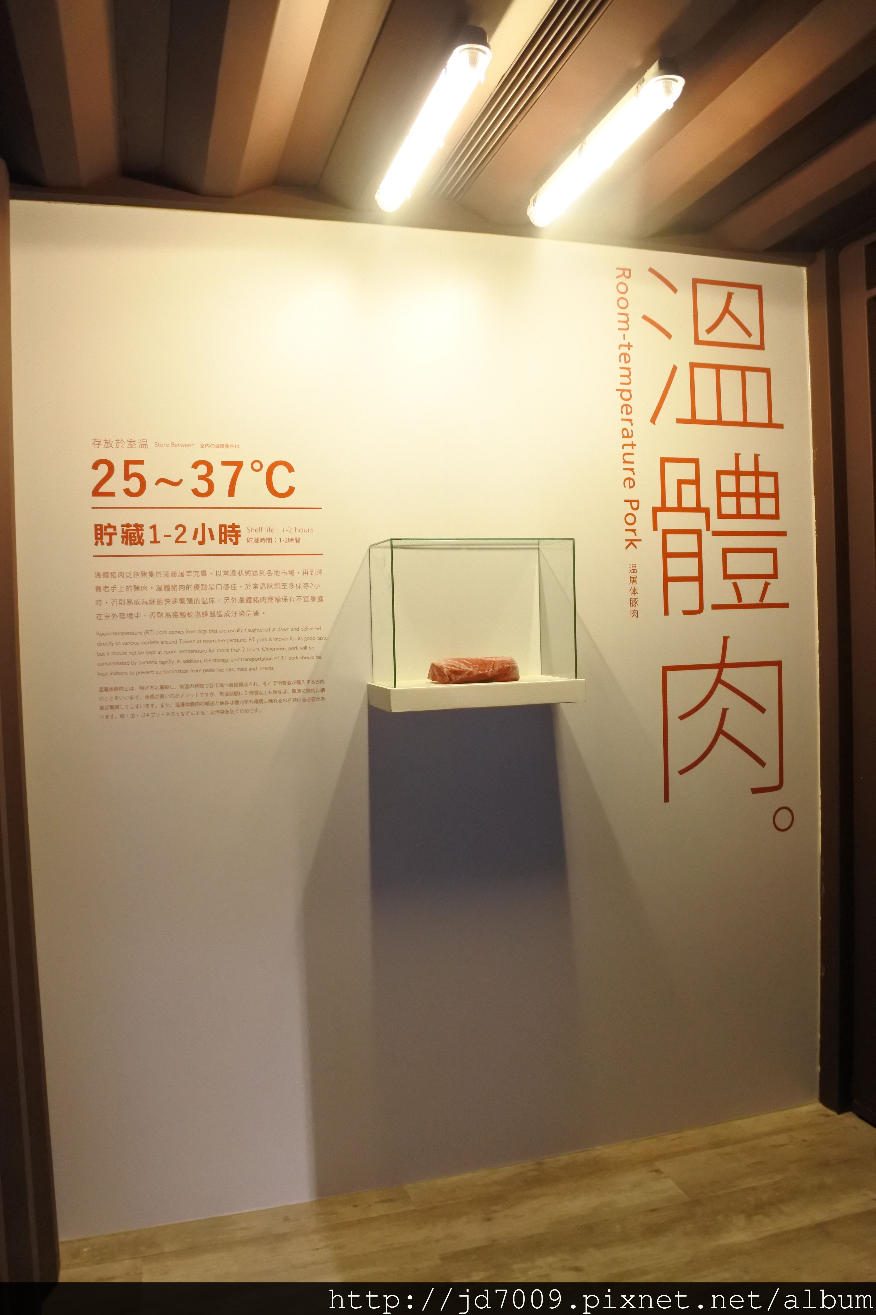 DSC_2995.JPG DSC_2995.JPG