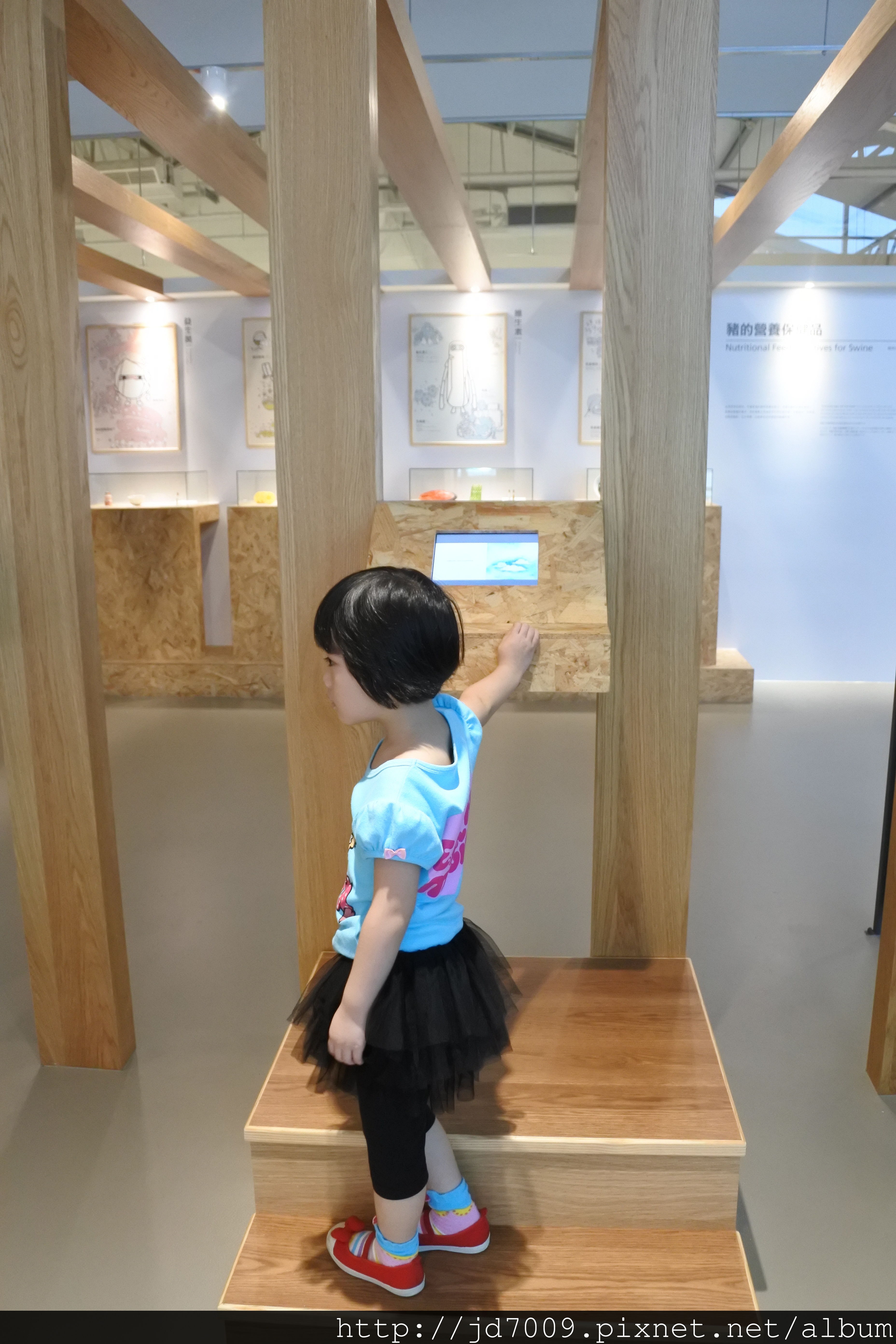 DSC_3013.JPG DSC_3013.JPG