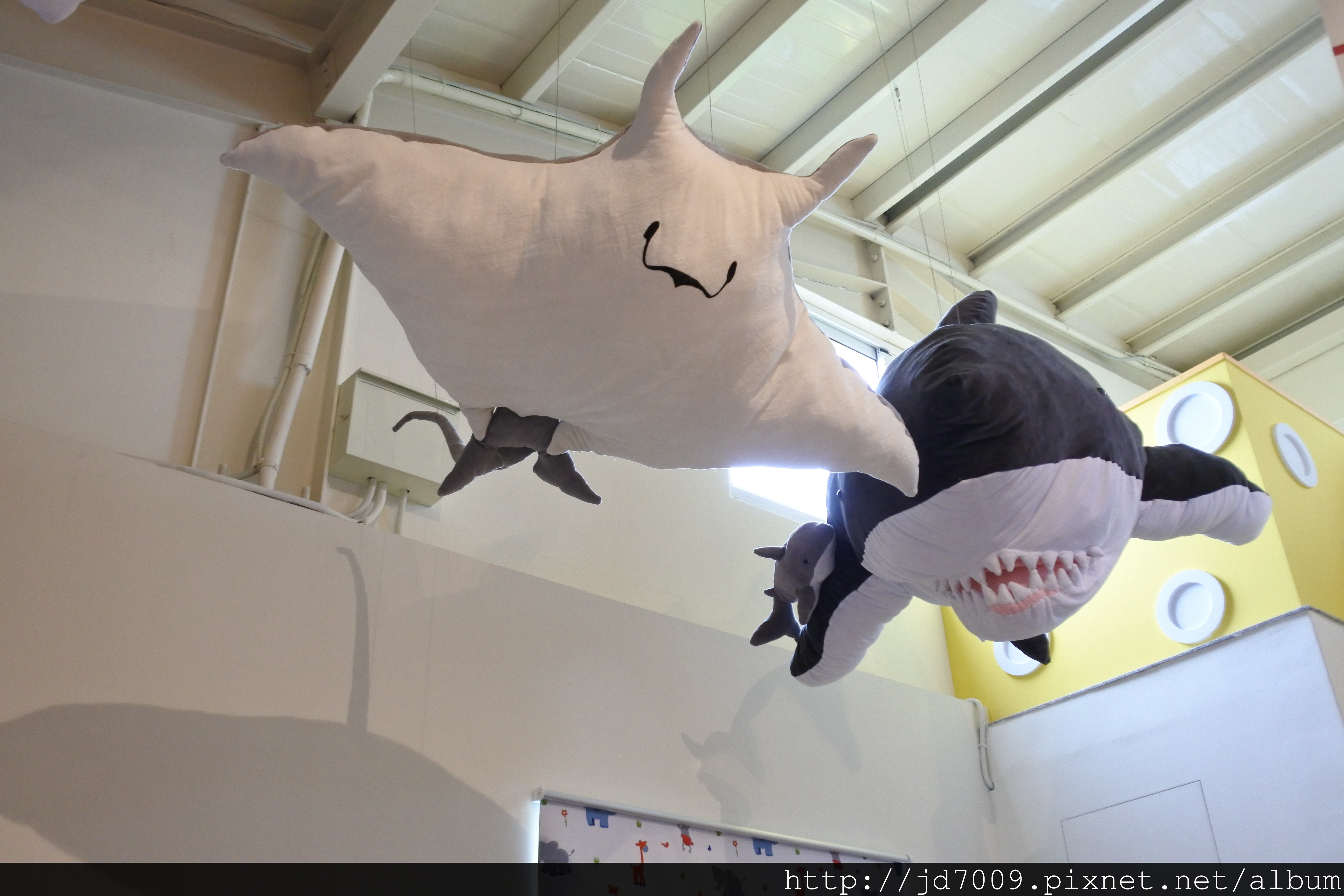 DSC_3671.JPG DSC_3671.JPG