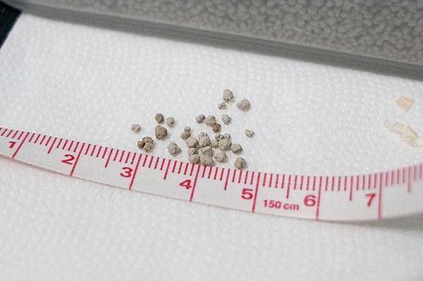 分享 吱星人也想狂野的在貓砂中翻滾 超推阿阿阿 三隻小豬円球型貓砂 細 Cp值高 啵比的碎碎唸唸 分享 吱星人也想狂野的在貓砂中翻滾 超推阿阿阿 三隻小豬円球型貓砂 細 Cp值高 啵比的碎碎唸唸