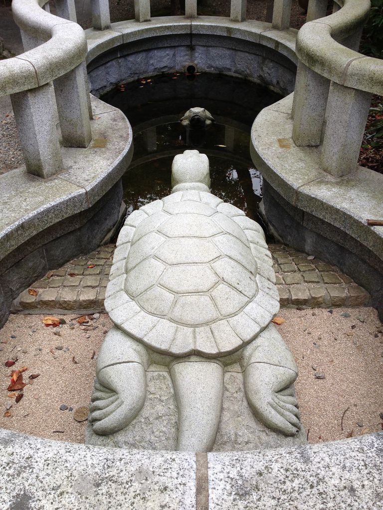 11/03天橋立神社大龜瞪小龜