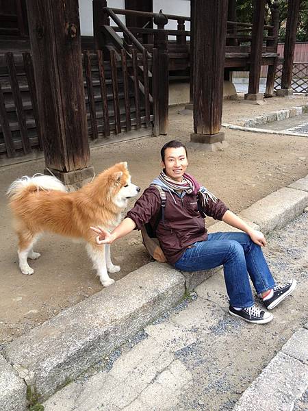 11/10巴の庭秋田犬と細見君