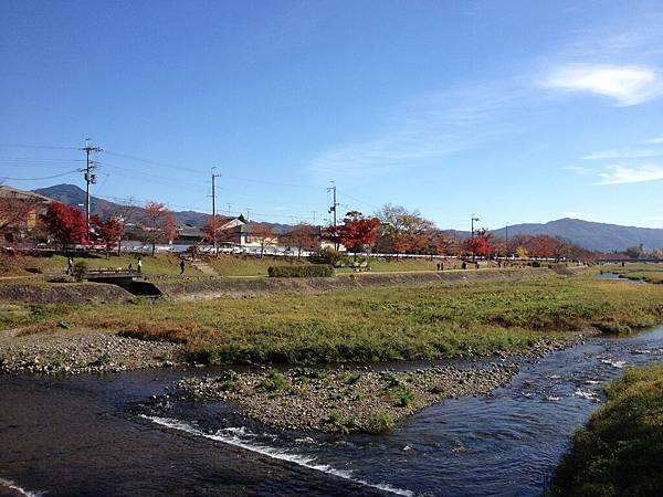 11/25鴨川紅葉