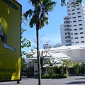 P1040427.JPG