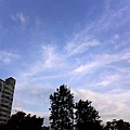 DSC01943　星期三早晨.JPG