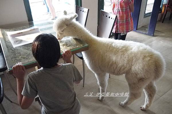 0419草泥馬餐廳   (25).JPG