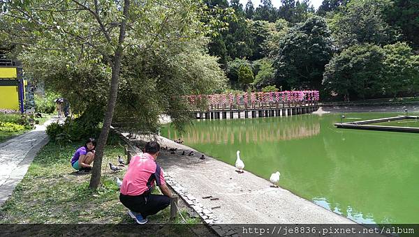 0709小瑞士花園(75).jpg