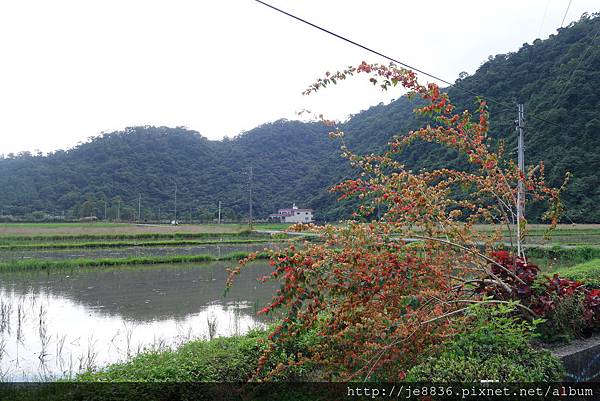 2014蘭陽秋旅~內城社區 (65).JPG