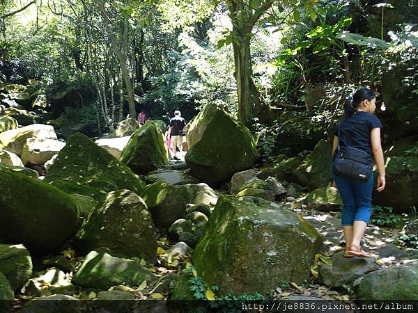 0406青山瀑布 (27).JPG