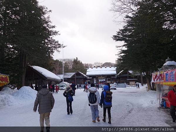 0201北海道神宮 (21).JPG