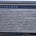 0202五陵郭公園 (18).JPG