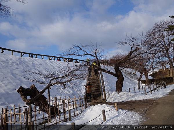 0202五陵郭公園 (49).JPG