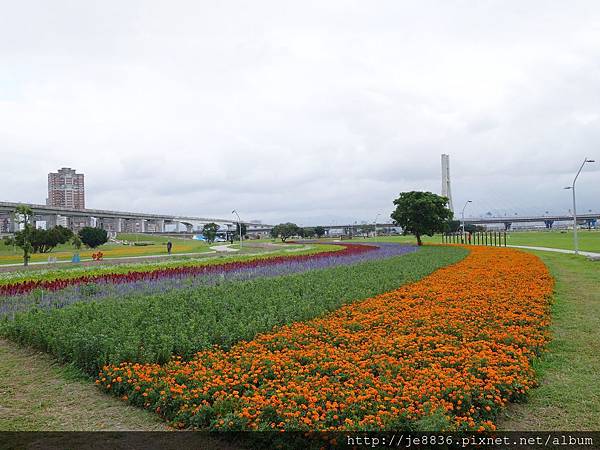 1124三重水漾公園 (32).JPG