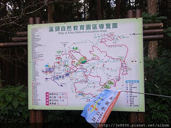 2015溪頭秋旅~溪頭森林遊樂區 (38).JPG