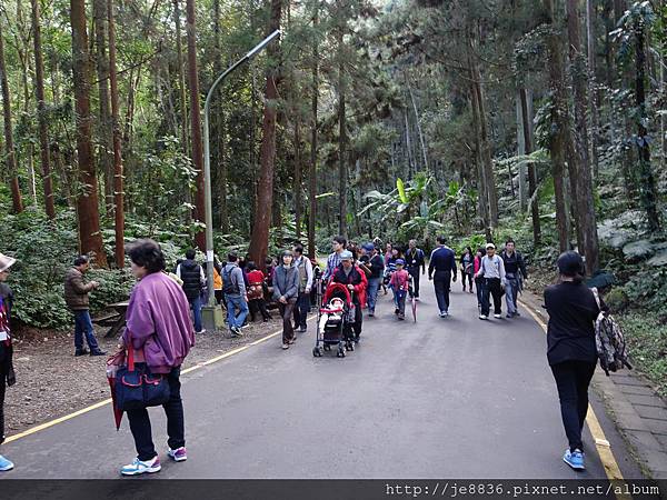 2015溪頭秋旅~溪頭森林遊樂區 (109).JPG