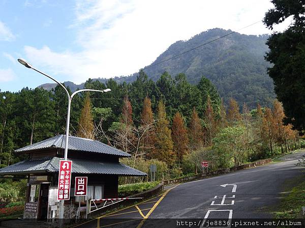 2015溪頭秋旅~溪頭森林遊樂區 (131).JPG