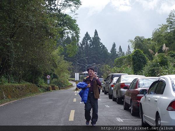 2015溪頭秋旅~溪頭森林遊樂區 (135).JPG