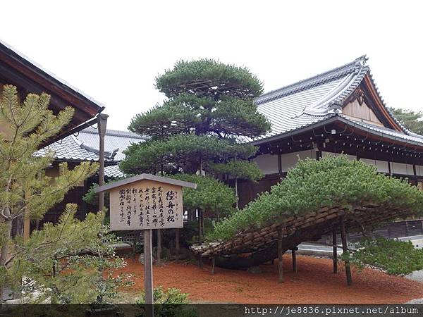 0122金閣寺 (39).JPG