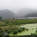 0229陽明山半日遊 (36).JPG