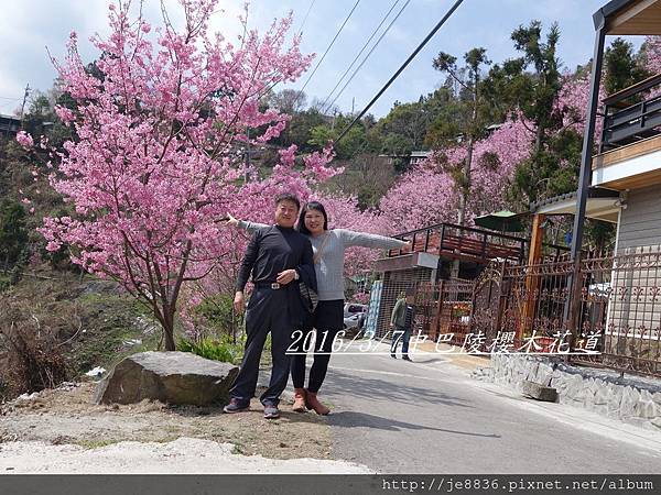 0307中巴陵櫻木花道 (41).JPG