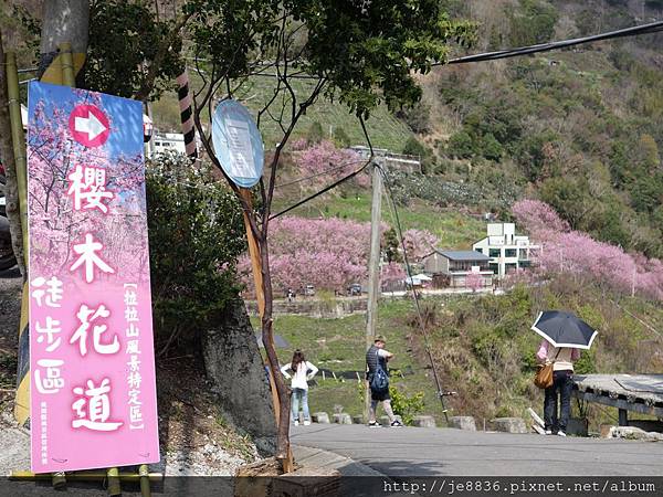 0307中巴陵櫻木花道 (51).JPG