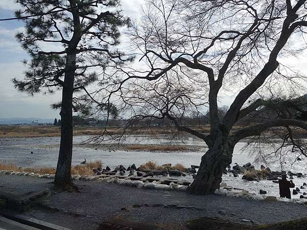16京阪神奈05 第二天行程 嵐山散策1 花菱餐廳 豆腐料理 天龍寺庭苑 蒲媽咪ㄟ旅行足跡 痞客邦 16京阪神奈05 第二天行程 嵐山散策1 花菱餐廳 豆腐料理 天龍寺庭苑 蒲媽咪ㄟ旅行足跡 痞客邦