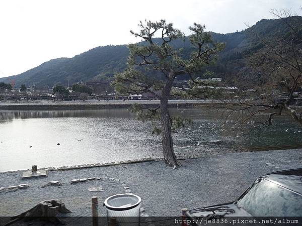 1 23嵐山散策 0123天龍寺庭苑 4 Jpg 臻果的相簿 痞客邦 1 23嵐山散策 0123天龍寺庭苑 4 Jpg 臻果的相簿 痞客邦