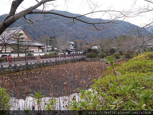 0123天龍寺庭苑 (16).JPG