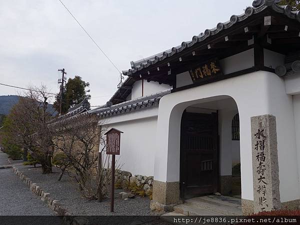 0123天龍寺庭苑 (18).JPG