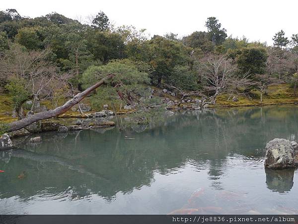 16京阪神奈05 第二天行程 嵐山散策1 花菱餐廳 豆腐料理 天龍寺庭苑 蒲媽咪ㄟ旅行足跡 痞客邦 16京阪神奈05 第二天行程 嵐山散策1 花菱餐廳 豆腐料理 天龍寺庭苑 蒲媽咪ㄟ旅行足跡 痞客邦
