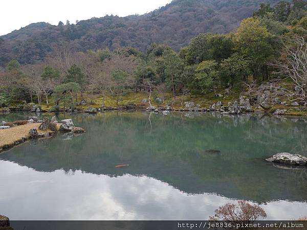 0123天龍寺庭苑 (39).JPG