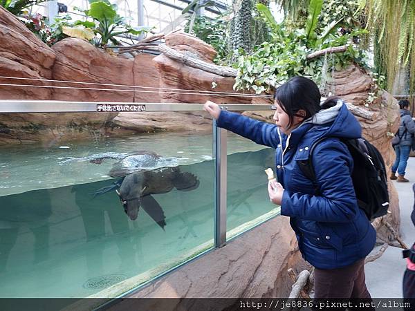 0125神戶動物王國  (32).JPG