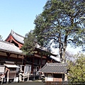 0126奈良東大寺 (17).JPG