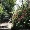 0828觀音山硬漢嶺 (13).JPG