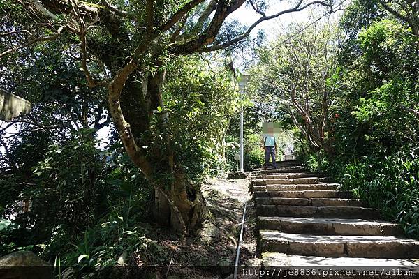 0828觀音山硬漢嶺 (16).JPG